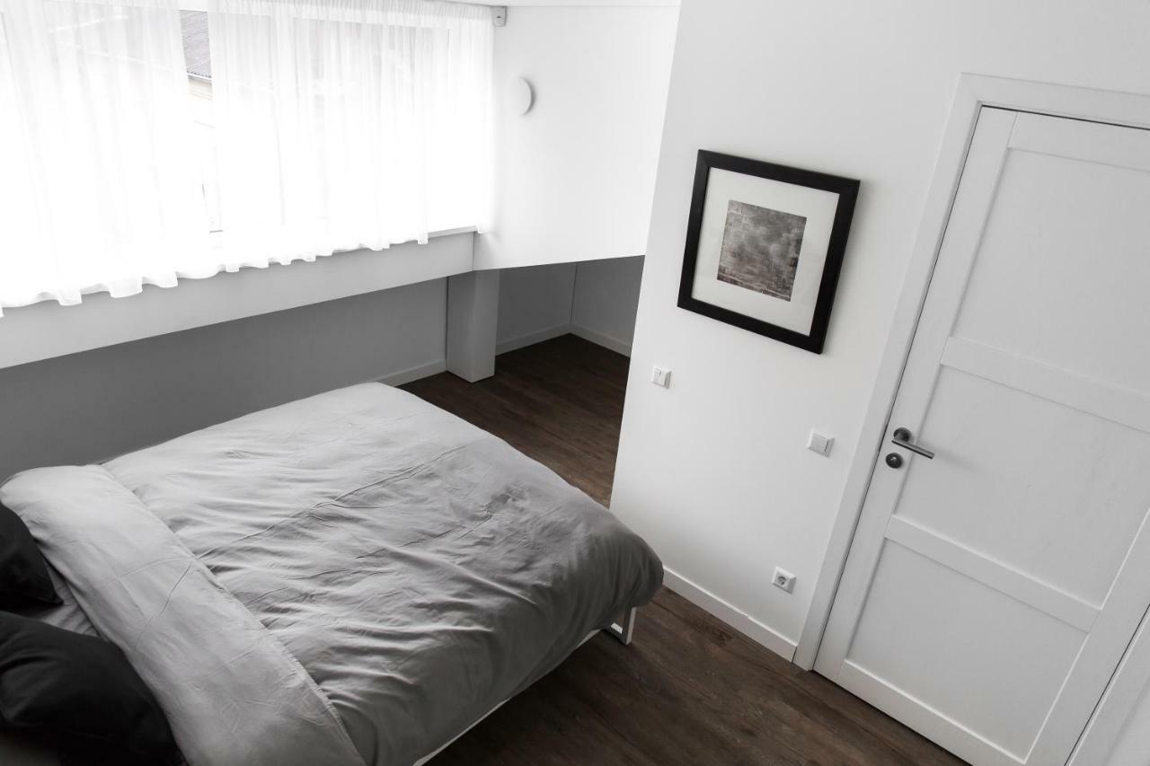 Deluxe Apartments By Hostlovers Kaunas Extérieur photo